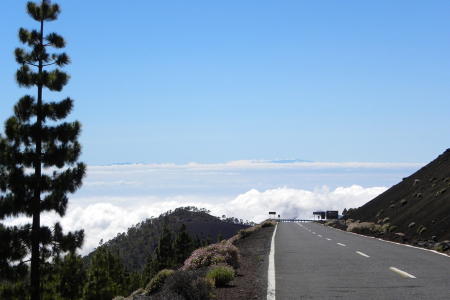 Treat Vertigo at Home with Standard Process Catalyn View of a Mountain Road Going Off into the Distance