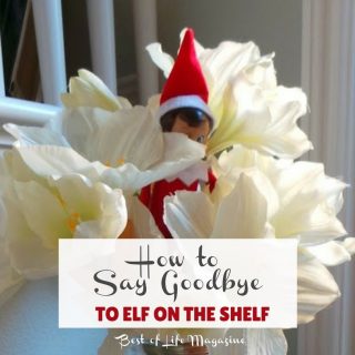 As you make final preparations for Christmas, don't forget about saying goodbye to Elf on the Shelf! Here are some ideas for saying goodbye to Elf! Holiday Traditions | Holiday Elf on a Shelf | Ideas for Saying Goodbye to Elf on a Shelf | Elf on the Shelf Last Day