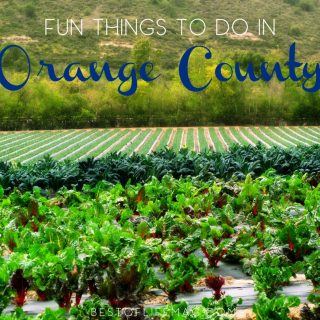 Orange County is filled with beauty, entertainment, and fun for everyone. We have your family guide for things to do in Orange County. Things to do in Orange County | Family Activities in Orange County | Best Family-Friendly Activities in Orange County