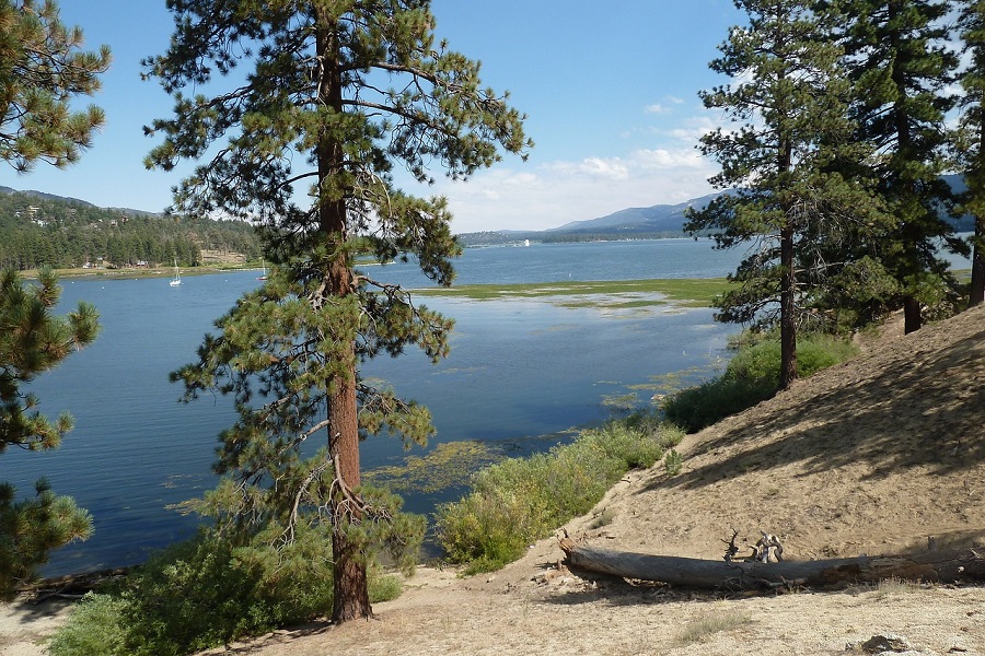 Celebrity Homes to See on Big Bear Lake View of the Lake Between Two Trees