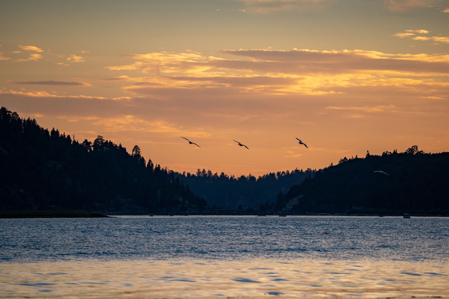 Celebrity Homes to See on Big Bear Lake View of the Lake During Sunset with Birds in the Sky
