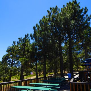 Traveling to Big Bear California? Here is your summer travel guide to help you make the most of the next trip and any other trip in the works. Things to do in Big Bear California | Things to do in California | Places to Visit in California in Summer | California Travel | Big Bear Travel Tips