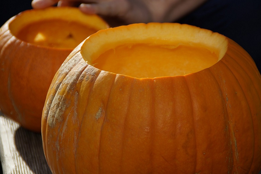 Free DIY Pumpkin Stencils Close Up of a Pumpkin with The Top Part Cut Out