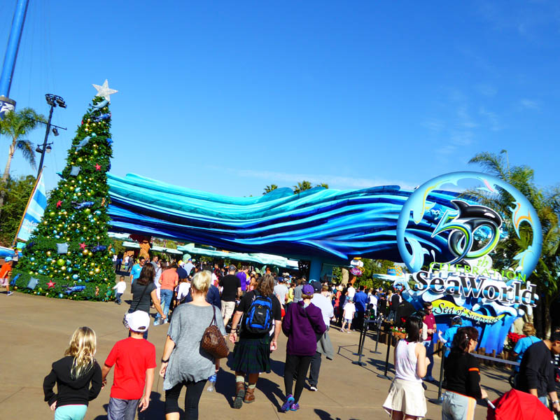 Holiday Highlights at SeaWorld San Diego The Best of Life® Magazine