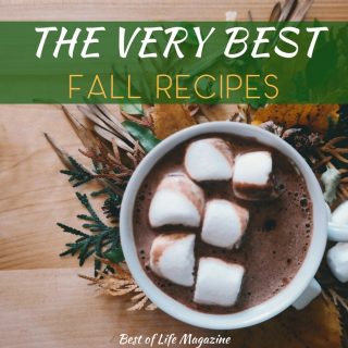 Fall weather is perfect for sipping cider by the fire and enjoying fall recipes like dips, drinks, breakfast, smoothies, and more with family and friends! Dip Recipes | Cider Recipes | Fall Drink Recipes | Breakfast Recipes | Recipes for Entertaining | Thanksgiving Recipes