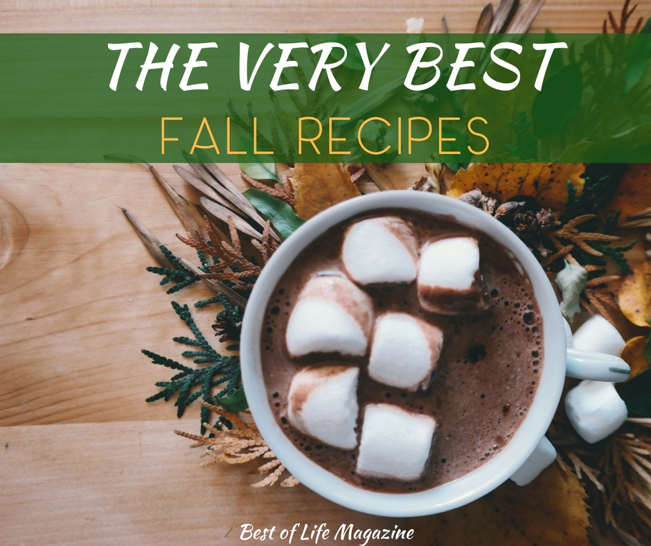 25+ Fall Recipes {Drinks, Dips, Breakfast, & More}