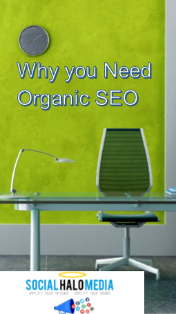 organic seo