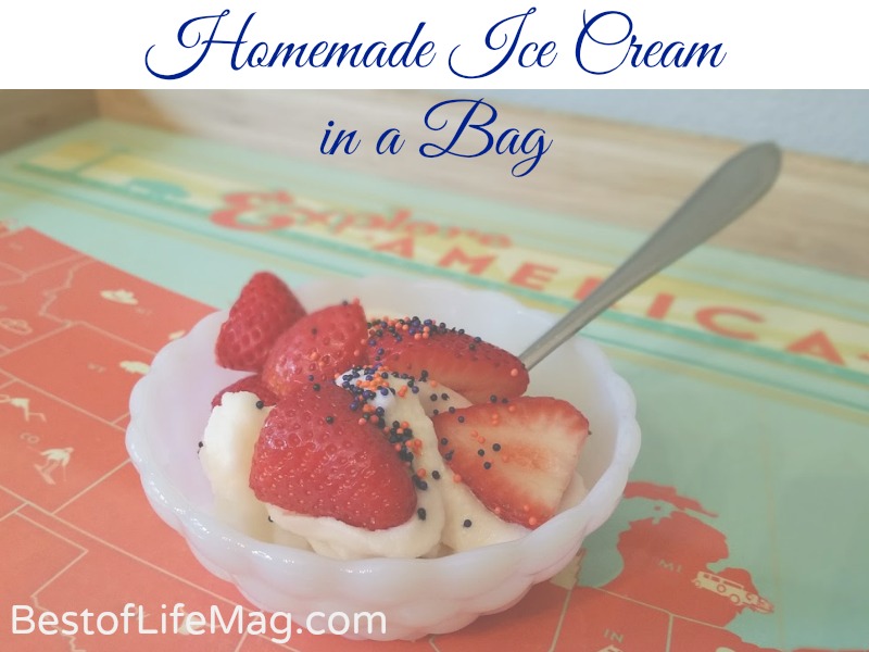 Recipe For Low Fat Homemade Ice Cream In An Ice Cream ...