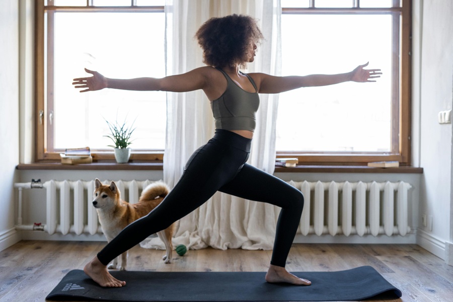 Jillian Michaels Body Revolution a Woman Doing Yoga on a Mat in a Living Room with a Small Dog in the Background