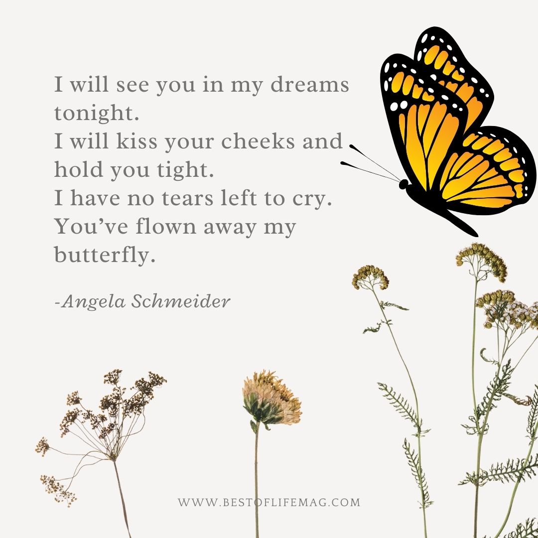 Stillbirth Quotes "I will see you in my dreams tonight. I will kiss your cheeks and hold you tight. I have no tears left to cry. You've flown away my butterfly."