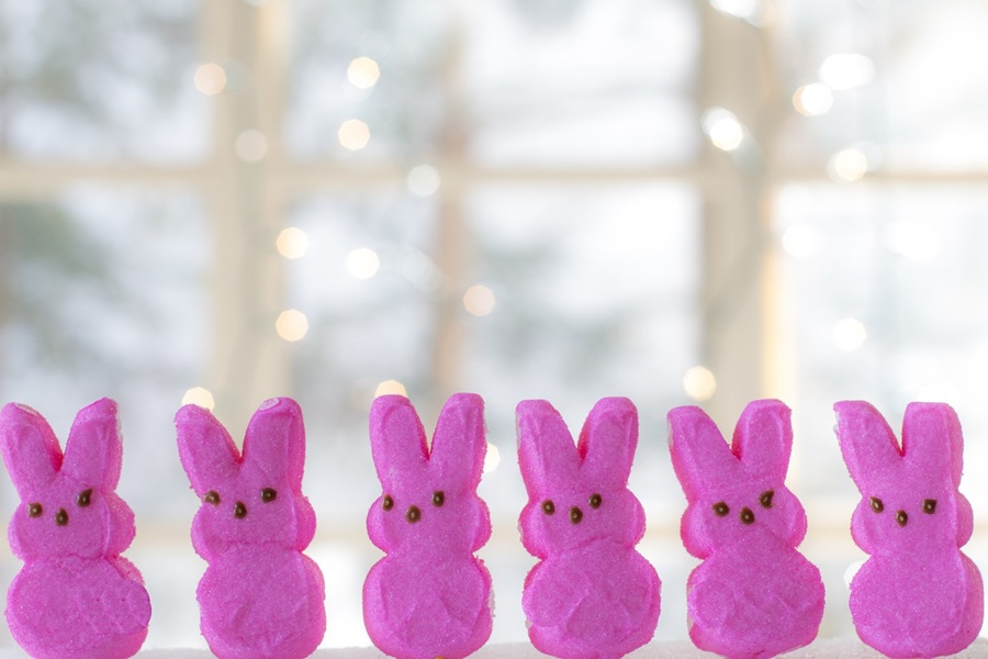 DIY Peeps Crafts For Any Age Close Up of a Row of Pink Bunny Peeps