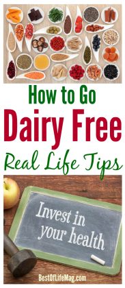 dairy free diet plan