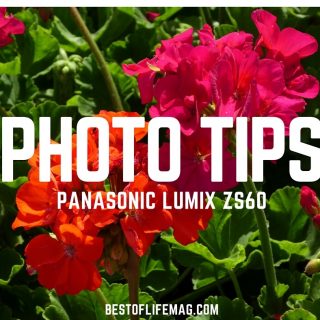 Using a few good Panasonic Lumix ZS60 camera photography tips will take your photography to a new level. Find them and try them here!