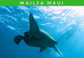 Add these 25+ fun and exciting things to do in Wailea Maui to your travel plans! They make for a perfect Hawaii vacation any time of year. Things to do in Hawaii | Things to do in Maui | Traveling to Hawaii | What to Do in Maui | Wailea Travel Tips