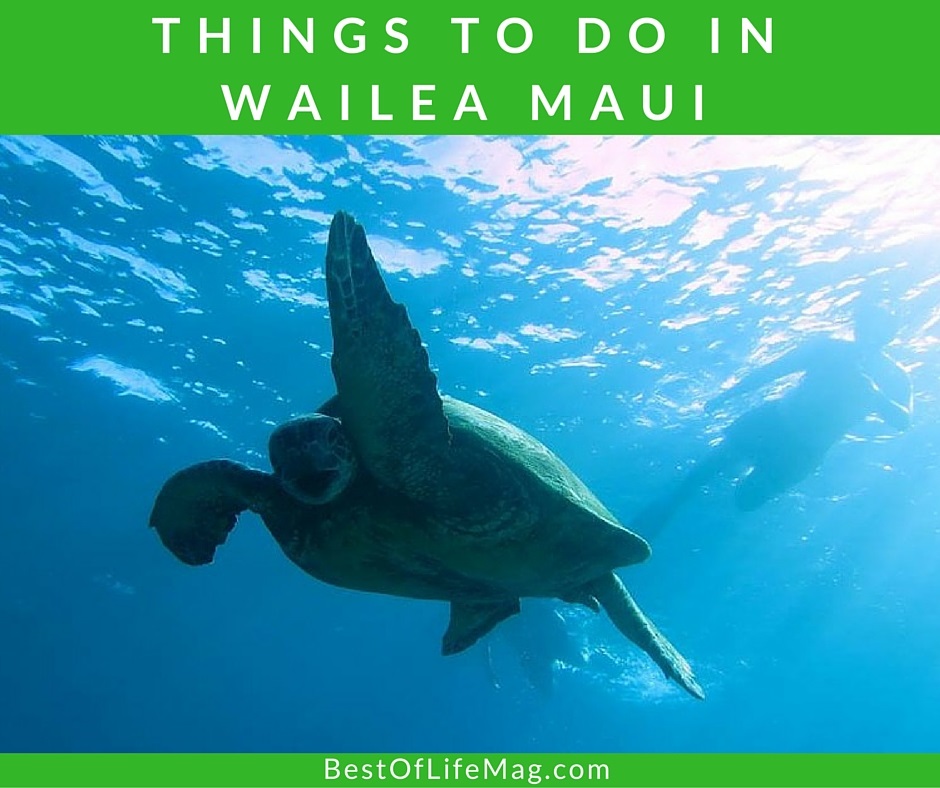 25 Things to Do in Wailea Maui