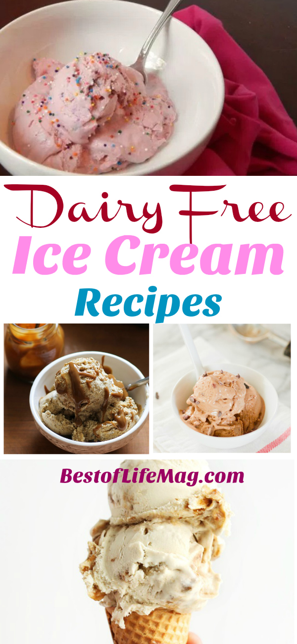 25 Dairy Free Ice Cream Recipes - The Best of Life® Magazine | Crockpot ...