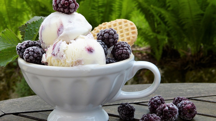 Dairy Free Ice Cream Recipes Close Up of a Bowl of Ice Cream