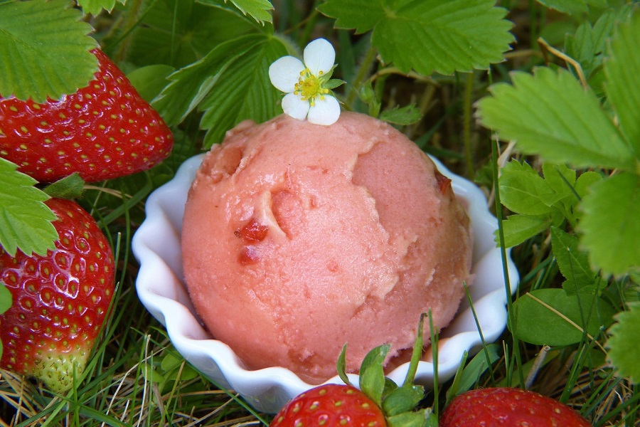 Dairy Free Ice Cream Recipes Overhead View of a Bowl of Strawberry Ice Cream