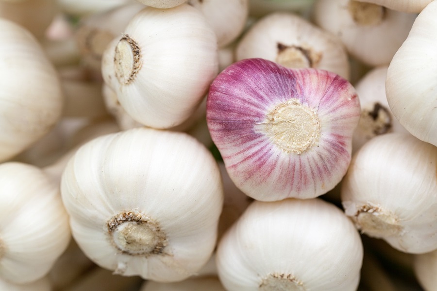 Slimming Foods To Eat Close Up of Garlic