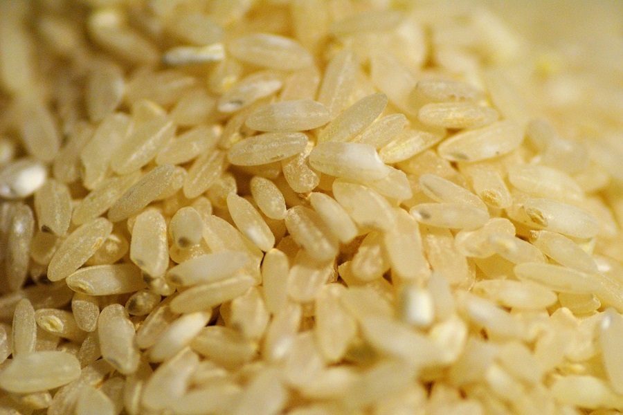 Slimming Foods To Eat Close Up of Brown Rice