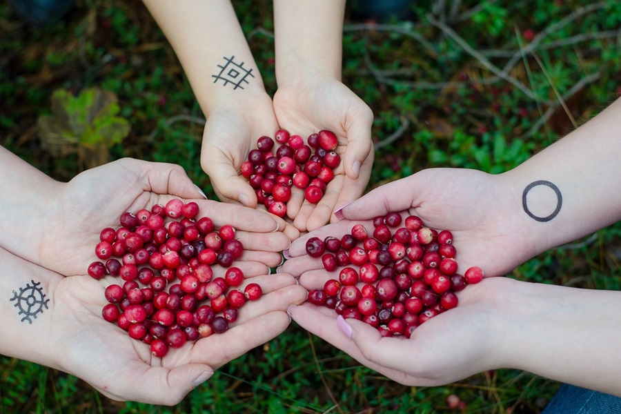 Slimming Foods To Eat Close Up of Three People Cupping Cranberries