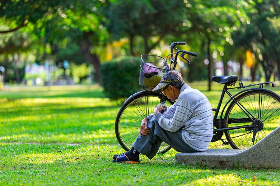 What are Standard Process Supplements an Elderly Man Sitting in a Park with a Bicycle Behind Him