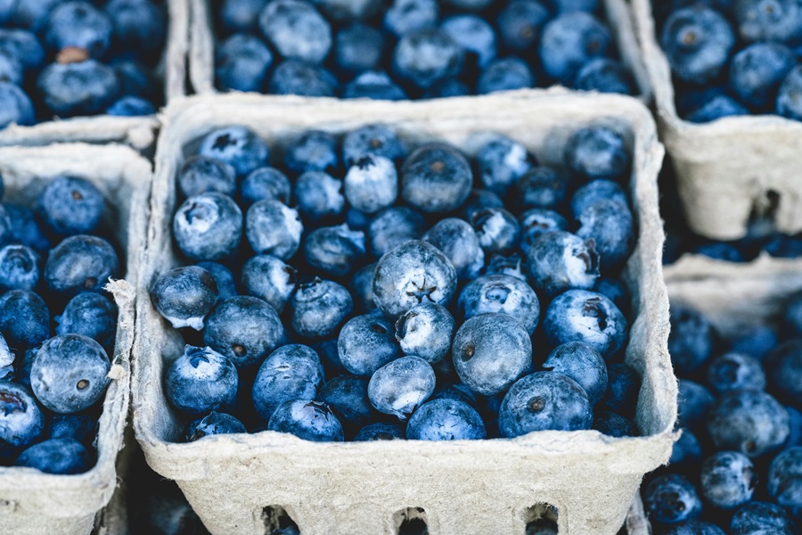 Dairy Free Fresh Blueberry Pie Recipe Close Up of Blueberries in Small Particle Board Baskets