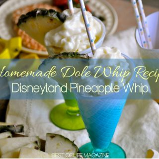 Making this homemade Dole Whip recipe is so easy, fun, and delicious that the hardest part will be sharing the Disneyland pineapple whip. How to Make Dole Whip | What is in Dole Whip | How to Make Disneyland Treats | Disneyland Recipes