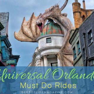 If you only have a day or two to make the most of the eats and rides at Universal Orlando, these are your must do rides at Universal that can be done in one long day or two shorter days.
