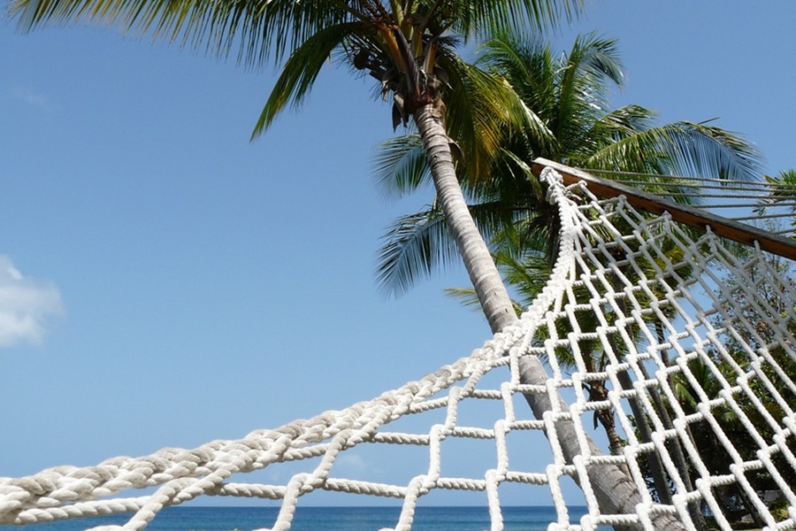 Experience Caribbean Luxury at Sandals Negril Jamaica Close Up of a Hammock Tied to a Palm Tree