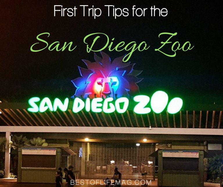 San Diego Zoo – Tips for your First Trip