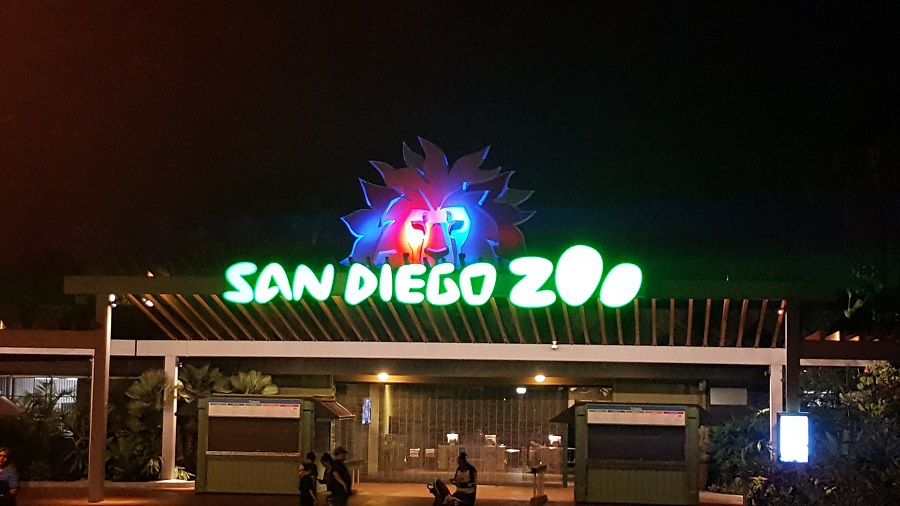 Don't let your first trip to the San Diego Zoo pass you by without knowing a few insider tips that will make you seem like a pro. San Diego Travel | Best Zoos in California | Things to do with Kids in Southern California | Best Things to Do in California | Southern California Travel Destinations