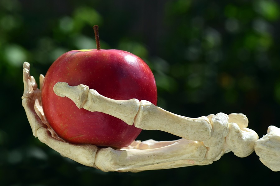 Standard Process Calcium Lactate a Skeleton Hand Holding Out an Apple