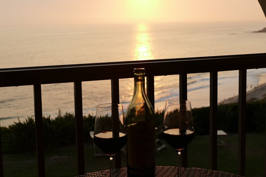 Panasonic Lumix FZ1000 Tips and Tricks View of a Wine Bottle on a Balcony with an Ocean in the Background