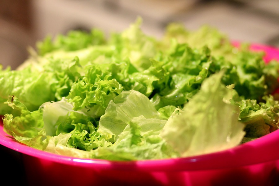 Dairy Free Salad Recipes Close Up of a Bowl of Iceburg Lettuce