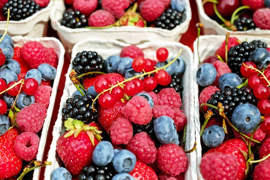 2B Mindset Success Tips Close Up of Mixed Berries