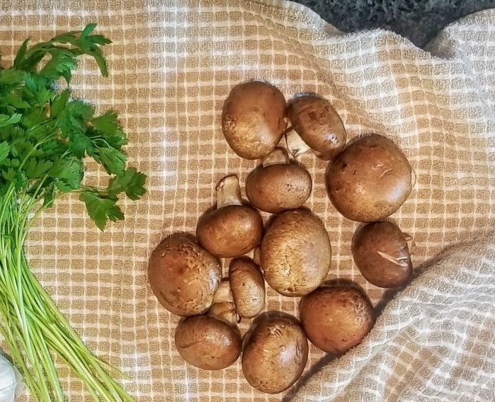 Crock Pot Dairy Free Beef Stroganoff with Coconut Milk