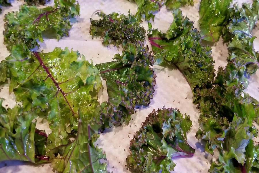 2B Mindset Salt and Pepper Kale Chips Recipe Close Up of Kale Drying Off on a Paper Towel