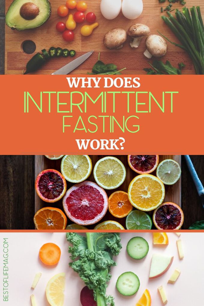 Why does intermittent fasting work? The short answer is it’s a healthier approach to eating, but there is a lot of information that goes into that answer that will motivate you to stay dedicated to your IF plan. Weight Loss Tips | Diet Plans | Meal Prep Tips | Intermittent Fasting Tips | Weight Loss Tips #weightloss #health via @amybarseghian