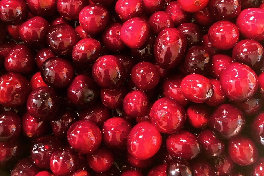 Beachbody Holiday Recipes to Help you Stay on Track Close Up of Cranberries