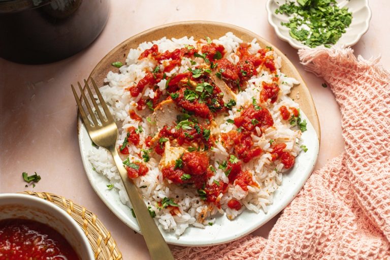 Salsa Chicken and Rice Recipe Overhead View of Salsa Chicken on a Plate with White Rice