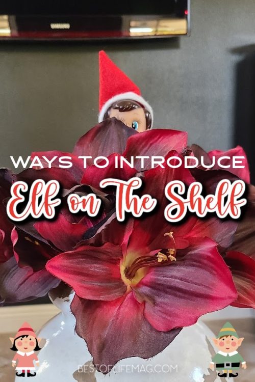 3 Ways to Introduce Elf on the Shelf The Best of Life Mag
