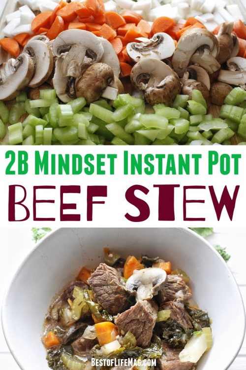 2B Mindset Instant Pot Beef Stew - The Best of Life Magazine