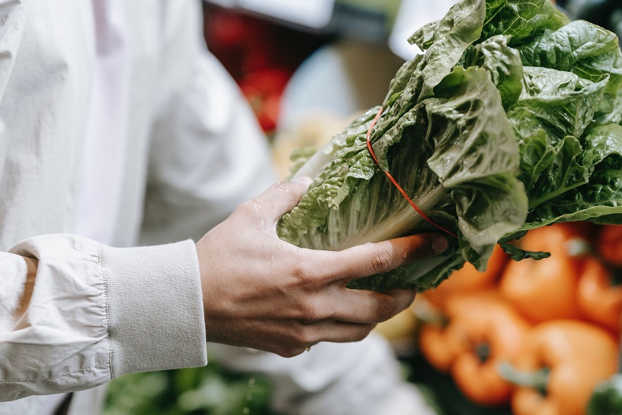 Beachbody Meal Plan Close Up of a Person's Hand Holding a Head of Romaine Lettuce