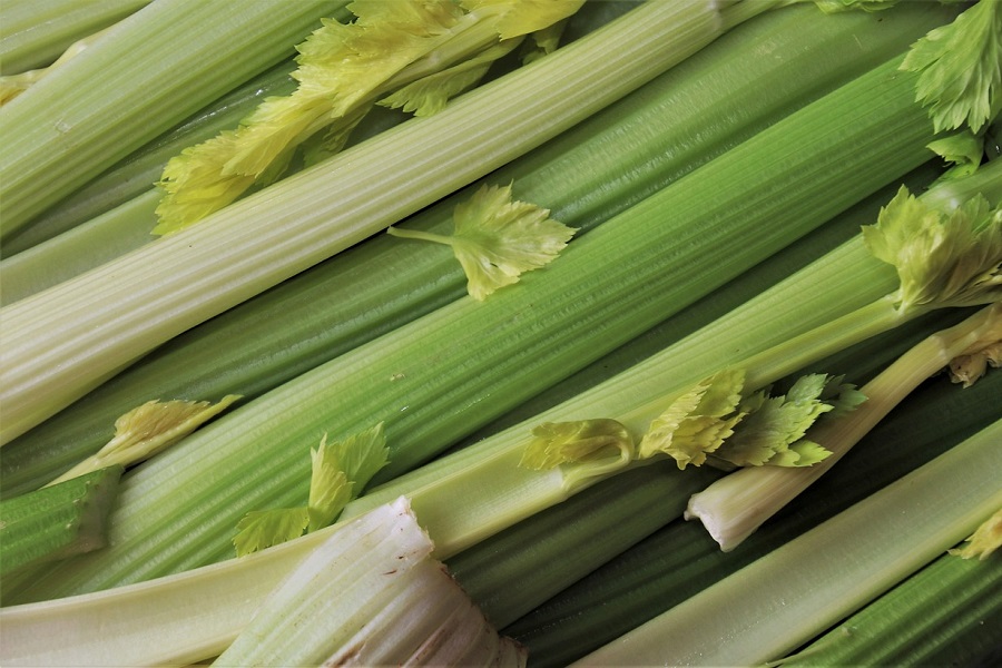 Green Juice Recipe to Lose Weight Close Up of Celery Stalks