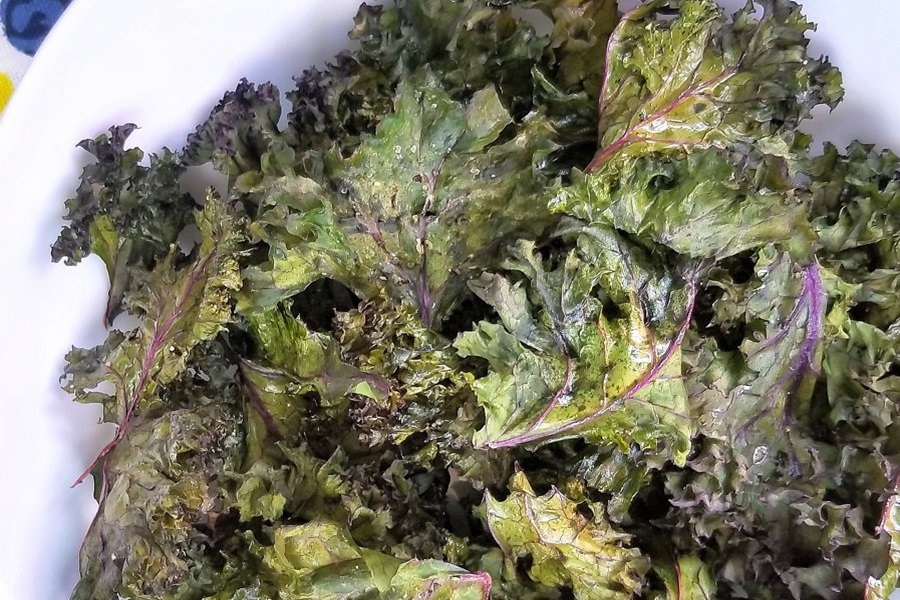 Best 2B Mindset Recipes on Pinterest Close Up of a Small Bowl of Kale Chips