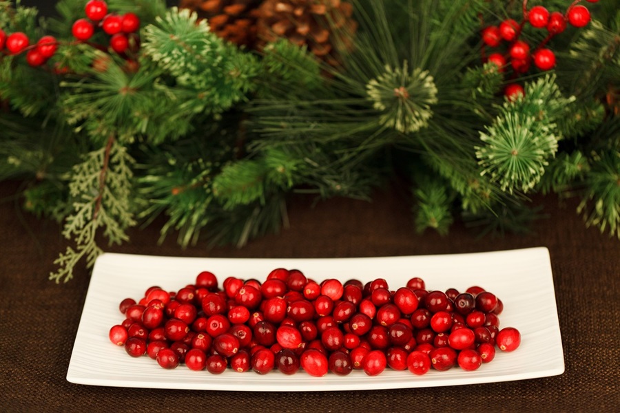 Cranberry Margarita Recipes a Party Platter of Cranberries with Garland Behind it