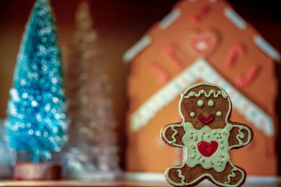 Dairy Free Holiday Cookies a Gingerbread Man Cookie Standing Up 