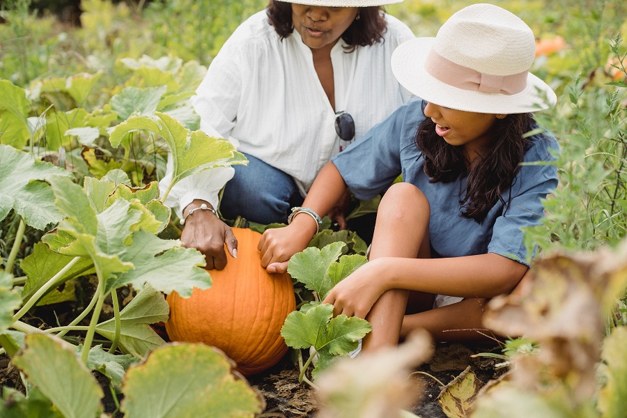 Pumpkin Drinks Two Women Gardening with Pumpkin Plants