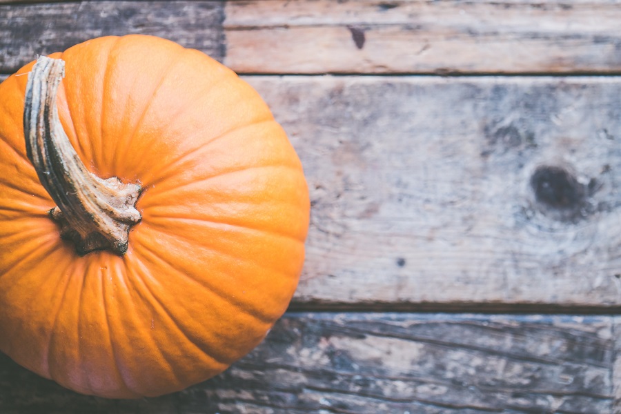 Pumpkin Drinks the Top of a Pumpkin Sitting on Wooden Planks